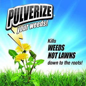 Pulverize Weed Killer bottle label highlights iron-based selective weed control.