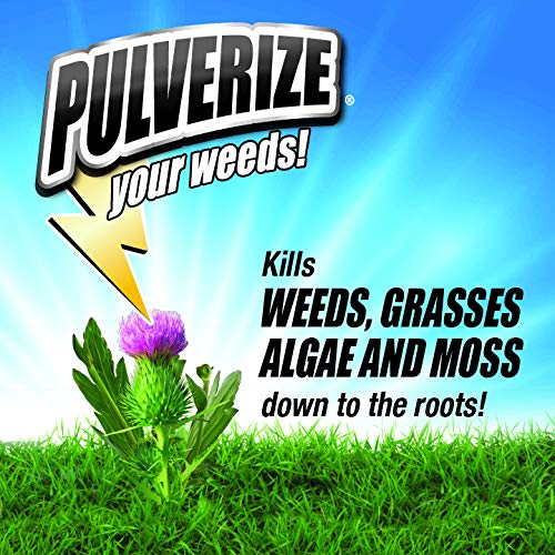 Pulverize weed killer being sprayed on lawn for quick action