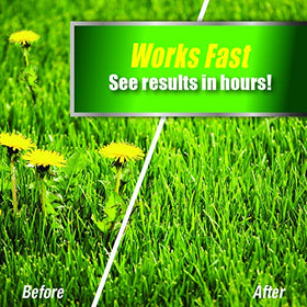 Pulverize Weed Killer packaging dimensions for compact storage in a shed.