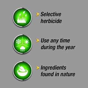 Pulverize Weed Killer weeds chart highlights target species like dandelion and clover.