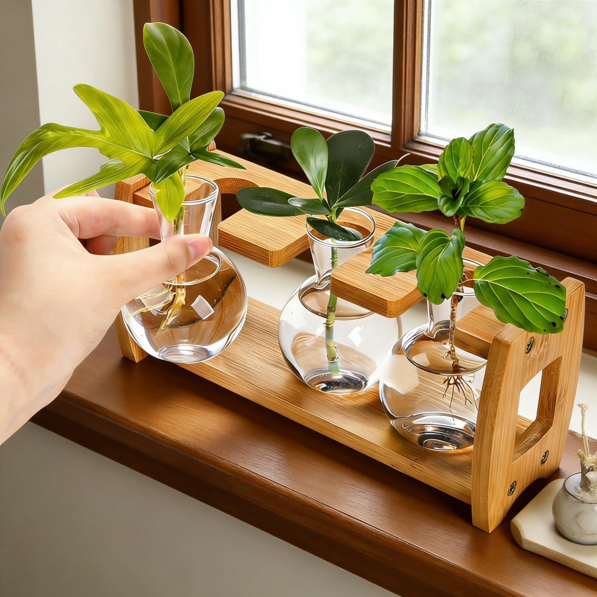 Pumtus small three-bulb setup fits compact desktop plant displays
