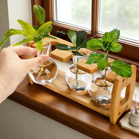 Pumtus small three-bulb setup fits compact desktop plant displays