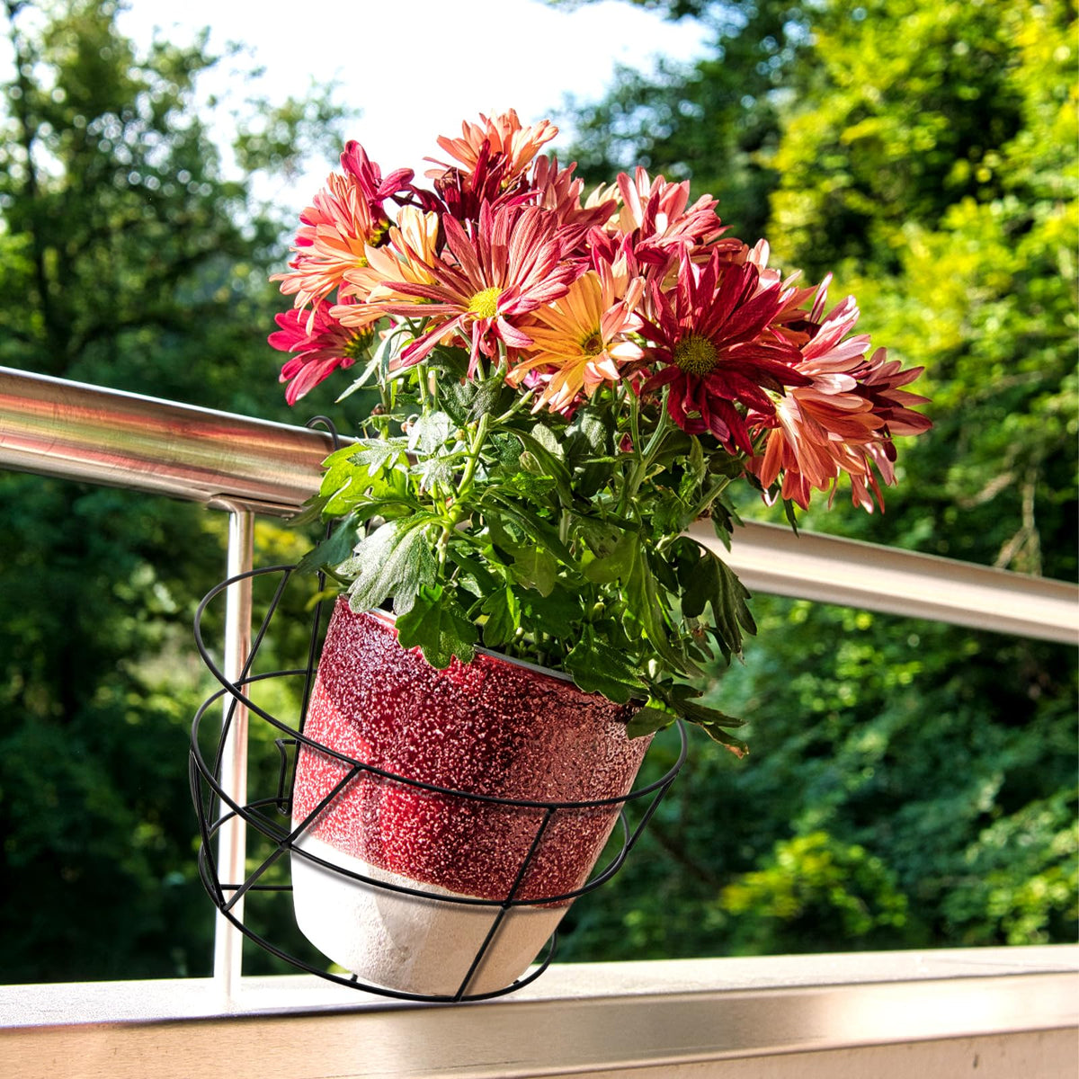 Pumtus balcony porch garden display on rails adds curb appeal.