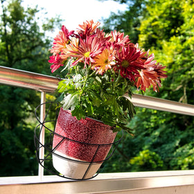 Pumtus balcony porch garden display on rails adds curb appeal.