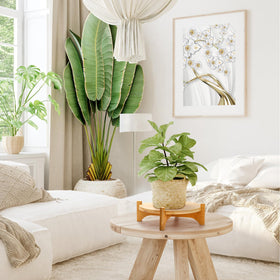Pumtus easy storage flat-pack stand ideal for small spaces.