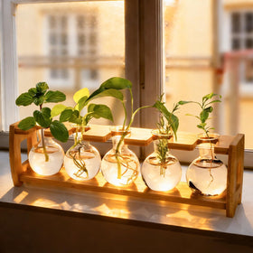 Pumtus propagation jars make a thoughtful gift for plant lovers