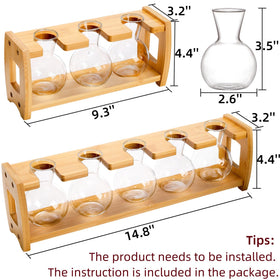Pumtus glass bulbs offer clear viewing of plant roots for easy monitoring