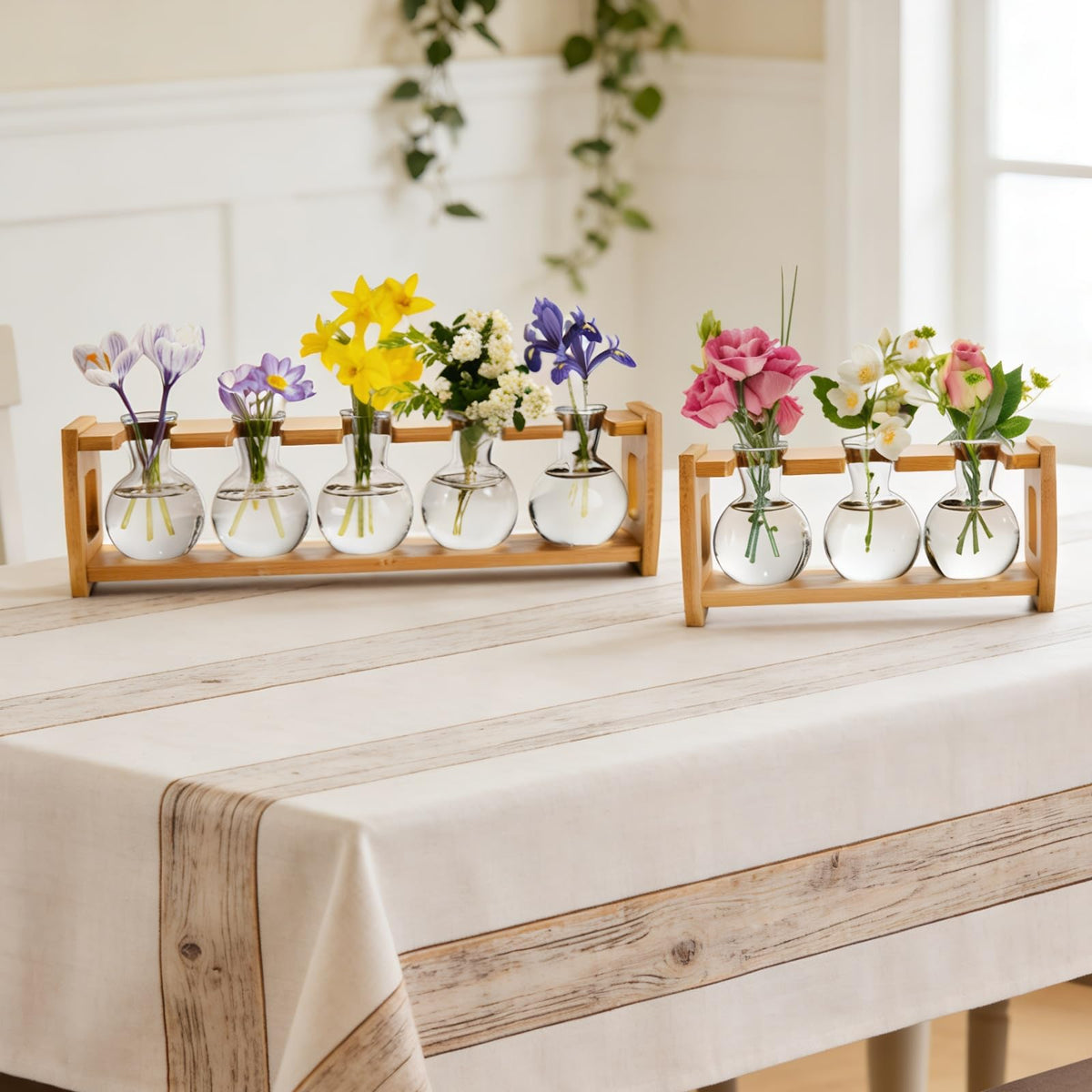Pumtus hydroponic vase enhances windowsill or coffee table decor