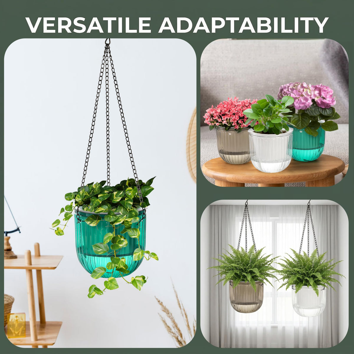 Pumtus self-watering hanging planter 6.5-inch diameter supports moisture for weeks