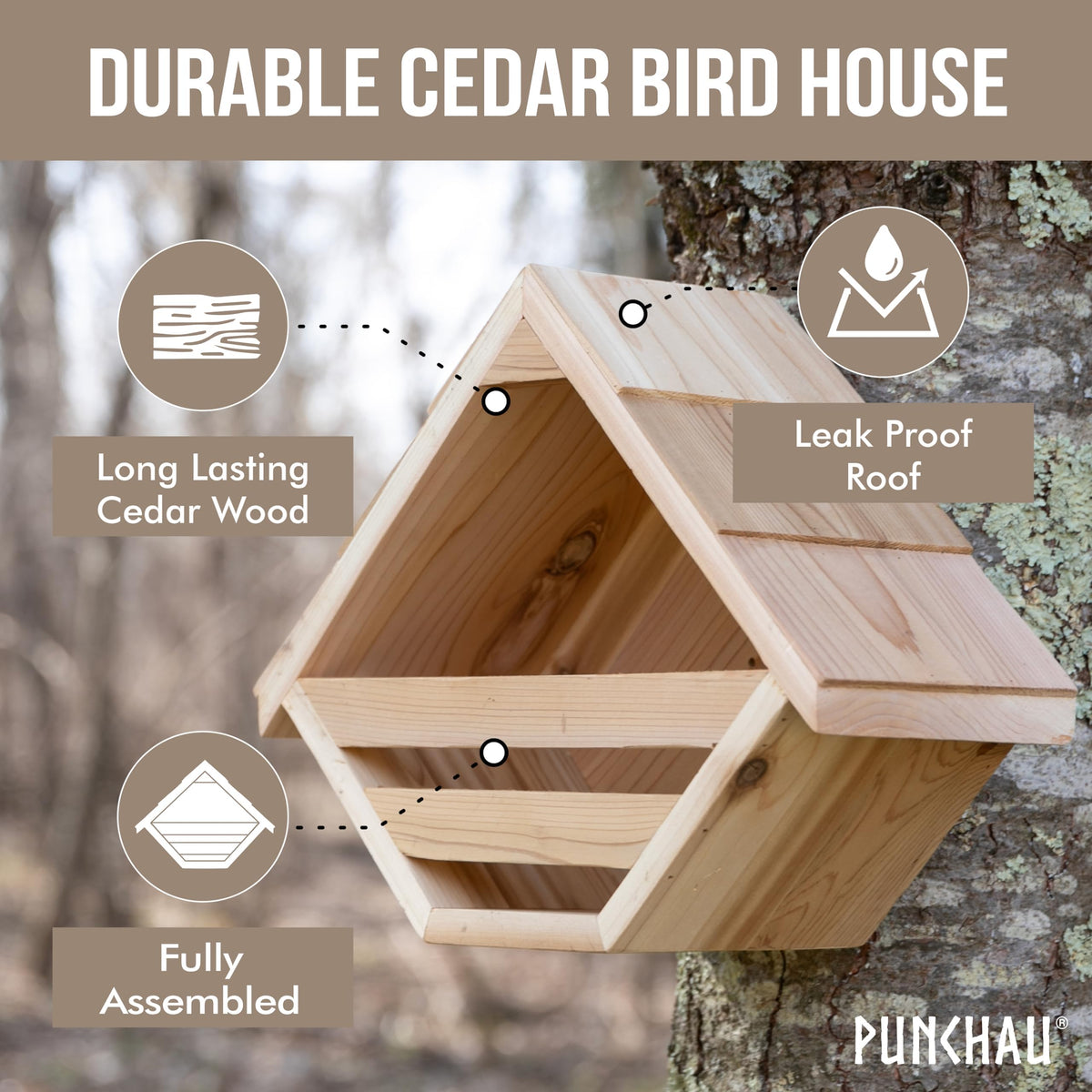 Punchau Weatherproof cedar bird house endures harsh outdoor conditions