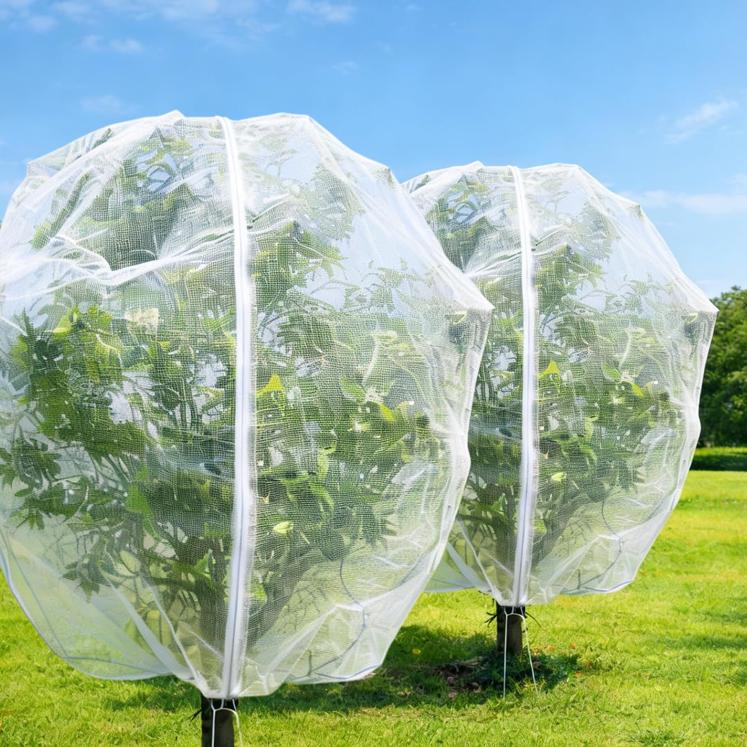 Puobao fruit tree netting 13x13ft shields mature trees from birds.