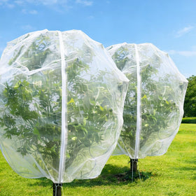 Puobao fruit tree netting 13x13ft shields mature trees from birds.