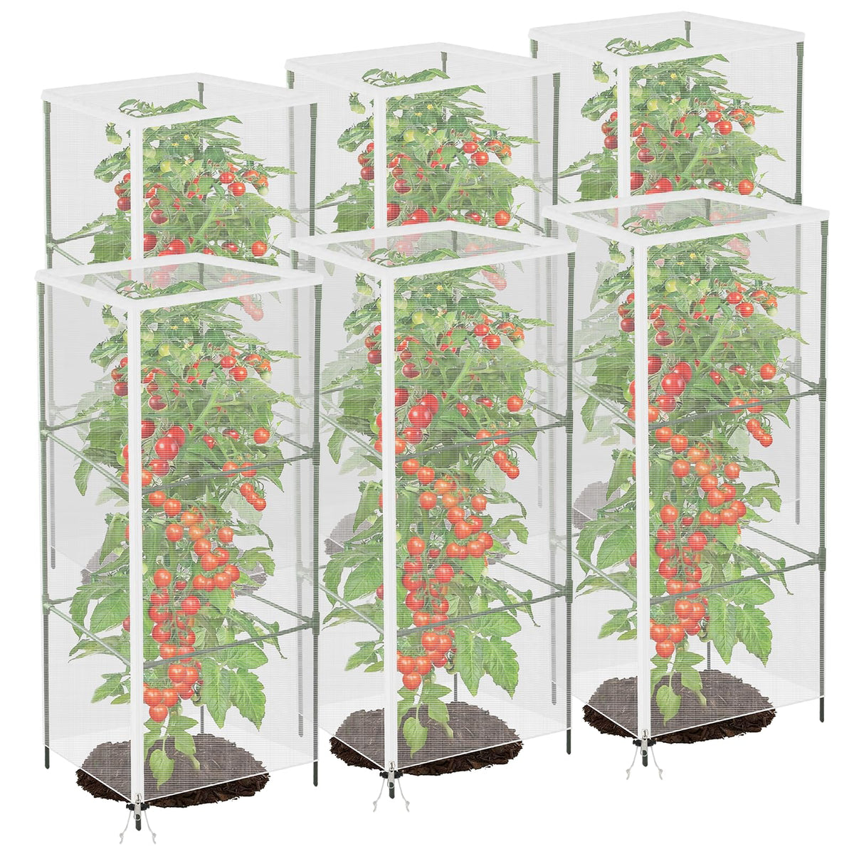 Puobao garden bird netting over a tomato cage protects plants while allowing sun