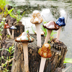 PUOO colorful mushrooms add vivid color to indoor and outdoor spaces