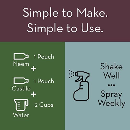 Pure Body Naturals packaging emphasizes eco-friendly, recyclable materials