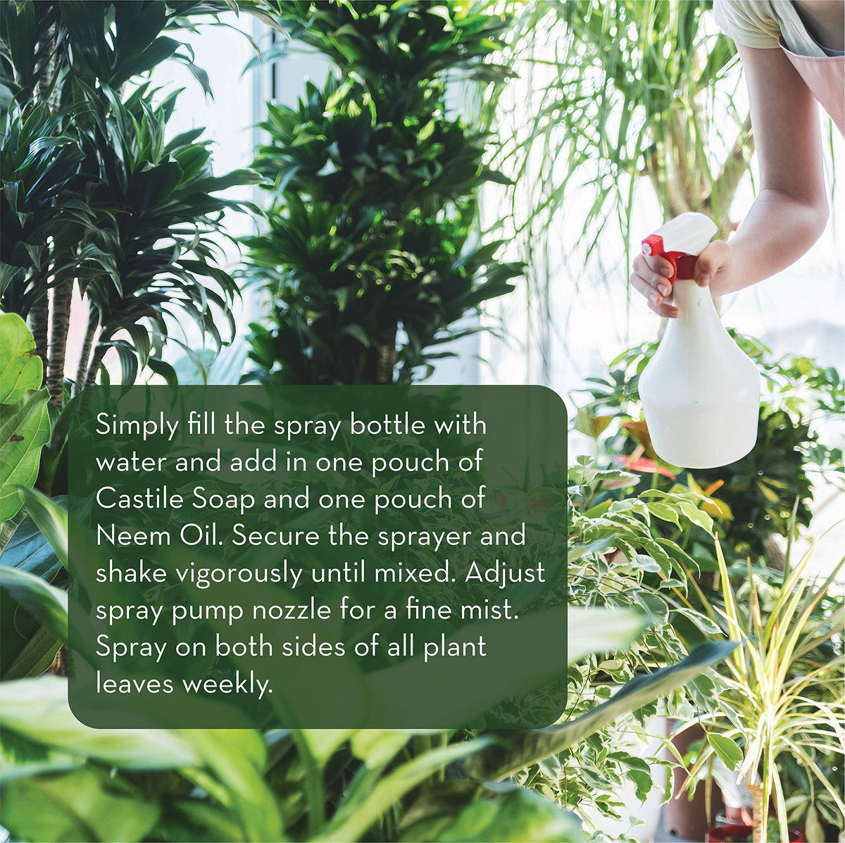 Emily's Neem Oil spray on leaves shows even coverage