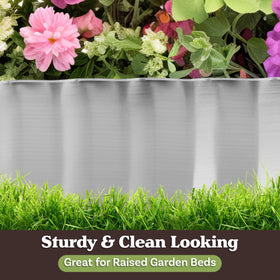 Pure Garden lawn edge definition creates crisp separation between turf and beds.
