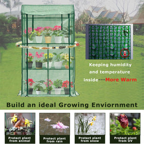 Purlyu mini tabletop greenhouse transparent cover lets light through while protecting plants