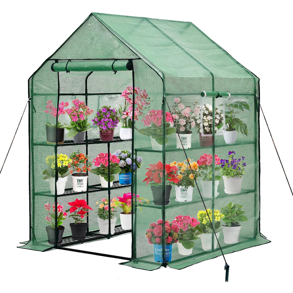 Purlyu Walk-in Greenhouse frame with rust-resistant steel for outdoor resilience.