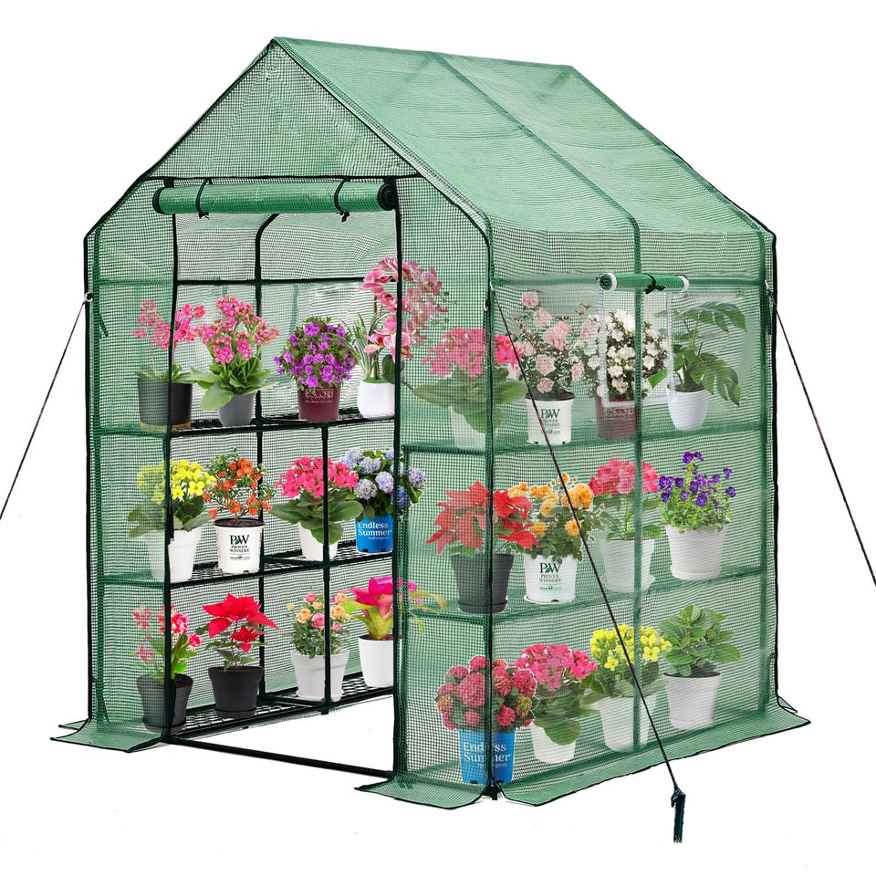 Purlyu Walk-in Greenhouse frame with rust-resistant steel for outdoor resilience.