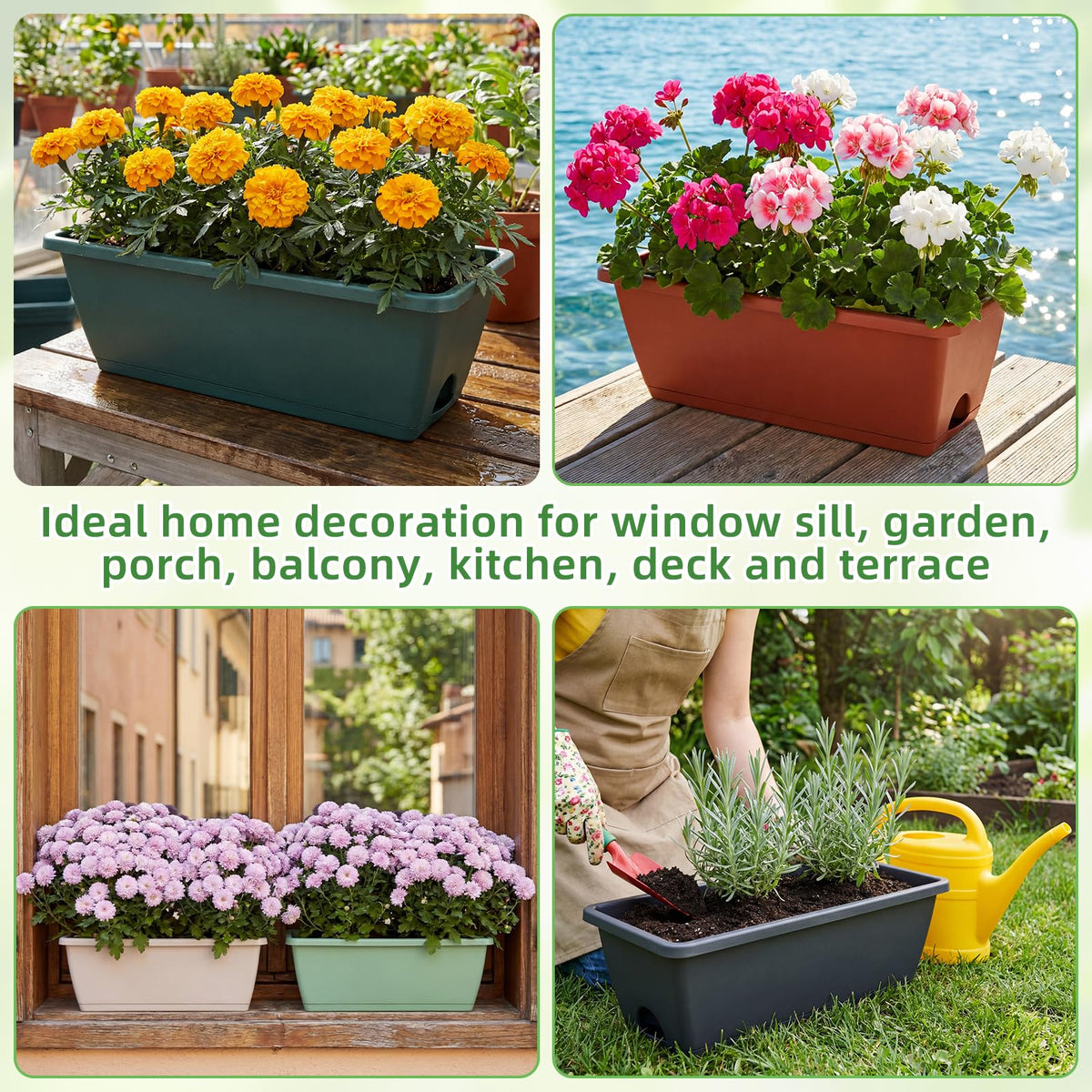 Purpeak ideal for herbs, flowers, or compact vegetables in homes