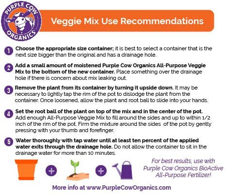 Purple Cow Organics compost-based blend delivering natural nutrients to plants