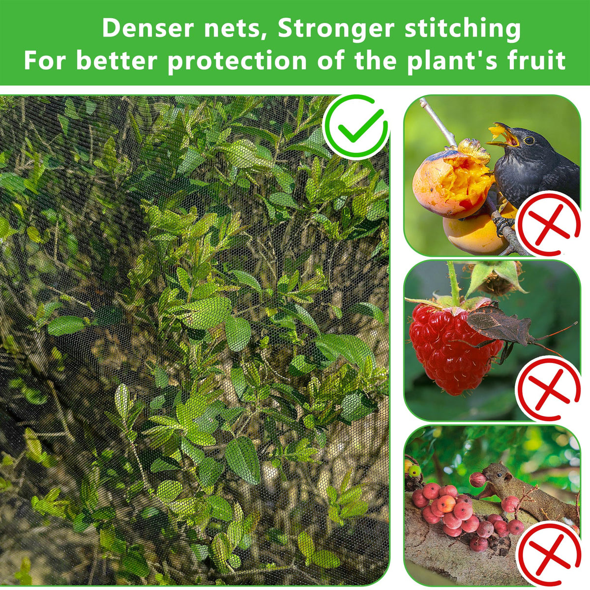 Purple Star 1N 5-3x5-3 ft garden netting shields crops while letting sunlight reach leaves.