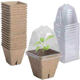 Purple Star 1N biodegradable nursery pots with humidity dome for seed starting and observation.