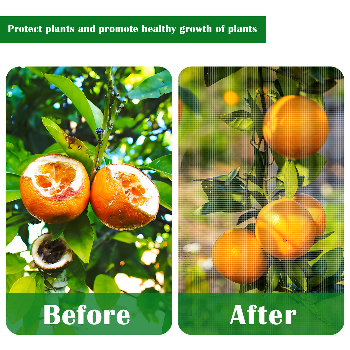 PURPLE STAR 1N citrus trees protection netting shields delicate fruit