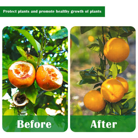 PURPLE STAR 1N citrus trees protection netting shields delicate fruit