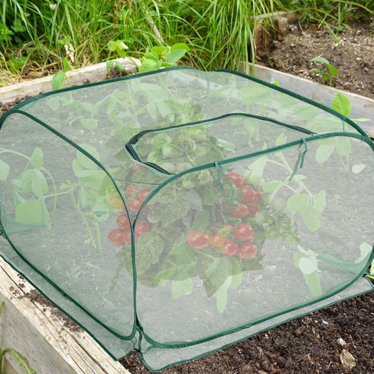 Purple Star 1N durable mesh cloth and metal frame for longevity.