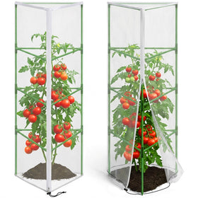 PURPLE STAR 1N garden netting drapes over a triangle tomato cage to guard produce.