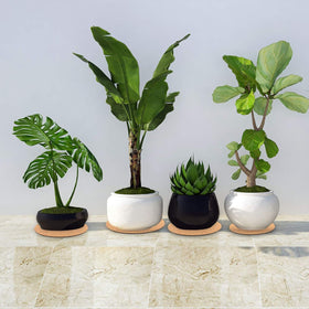 Purple Star 1N indoor-outdoor plant pad; guards floors on balcony or patio.
