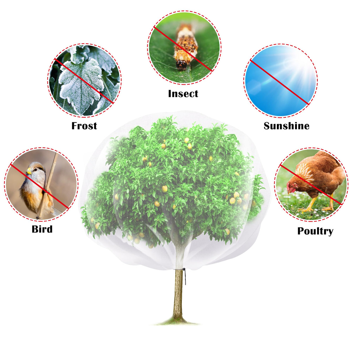 PURPLE STAR 1N drawstring plant protection netting for easy installation