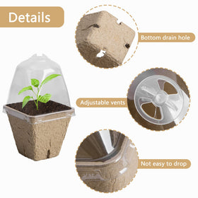 Purple Star 1N peat pots for seedlings, ready to plant after germination.