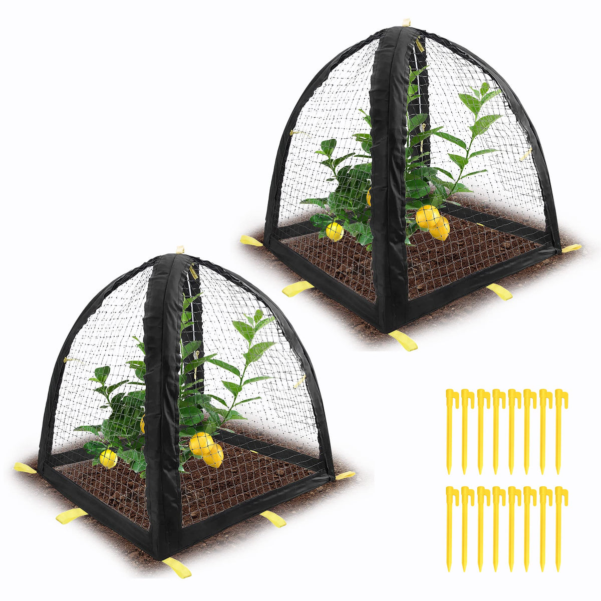 Purple Star 1N pest guard cover 22x22x23 inch shields plants while watering