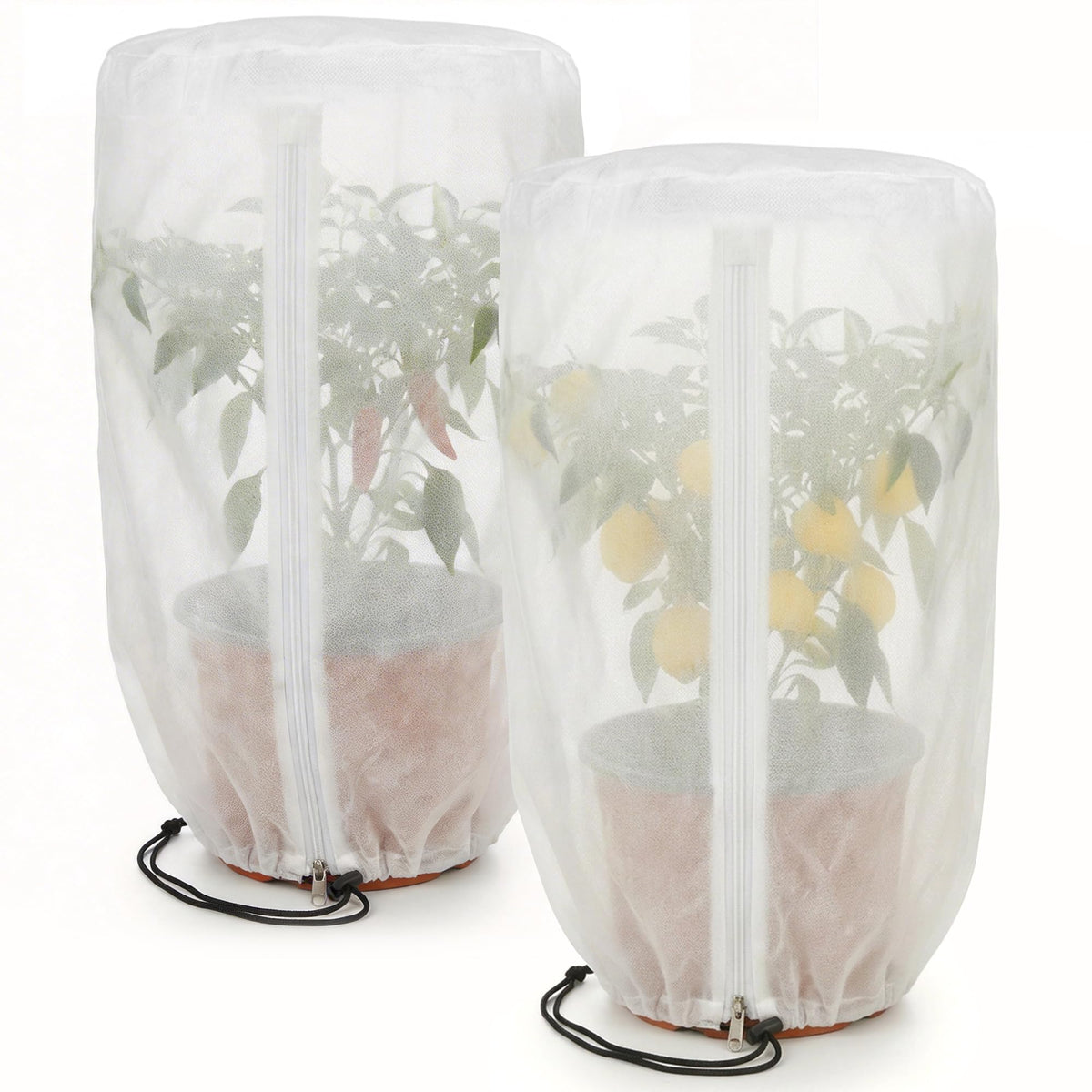 PURPLE STAR 1N rounded-top shade cover shields plants from direct sun and heat.