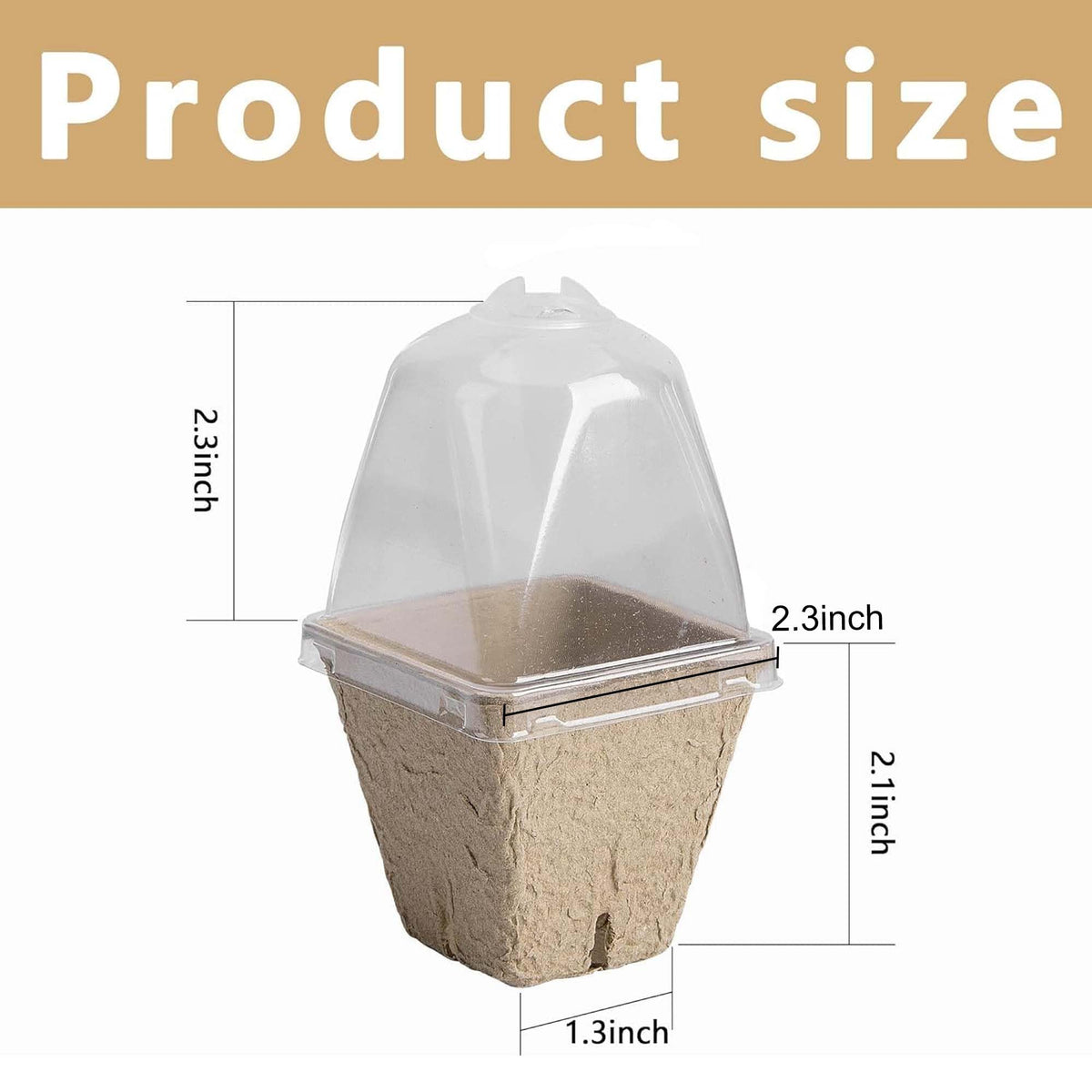 Purple Star 1N square 5.8 cm seed pots designed for home germination and easy handling.