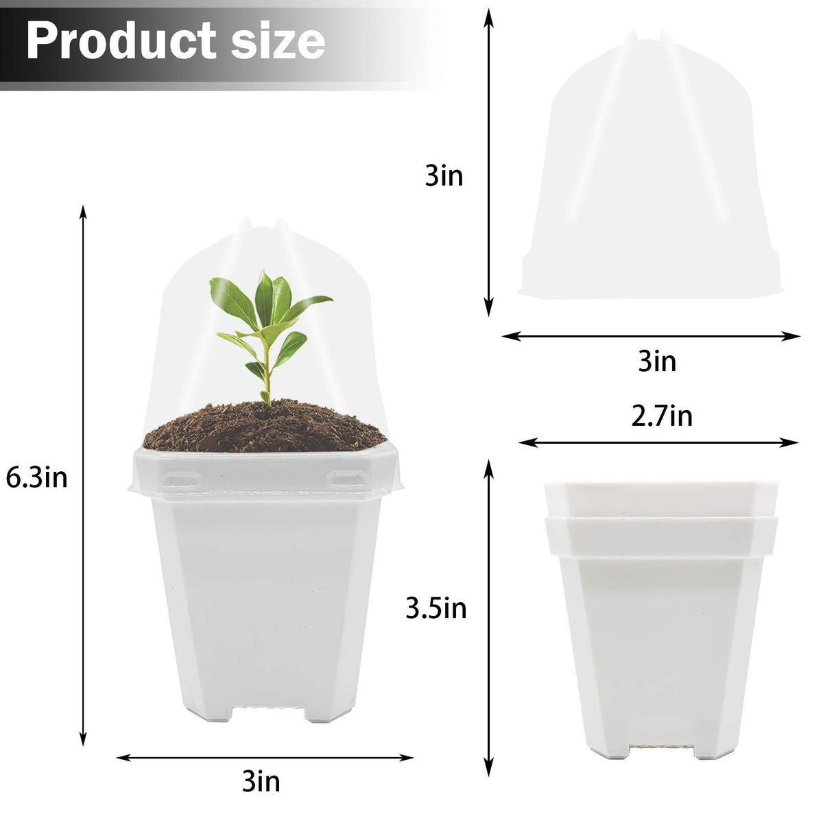 Purple Star 1N square nursery pot keeps compact starter plants organized.