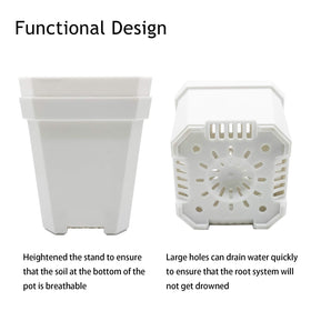 Purple Star 1N transparent lid lets you monitor moisture at a glance.