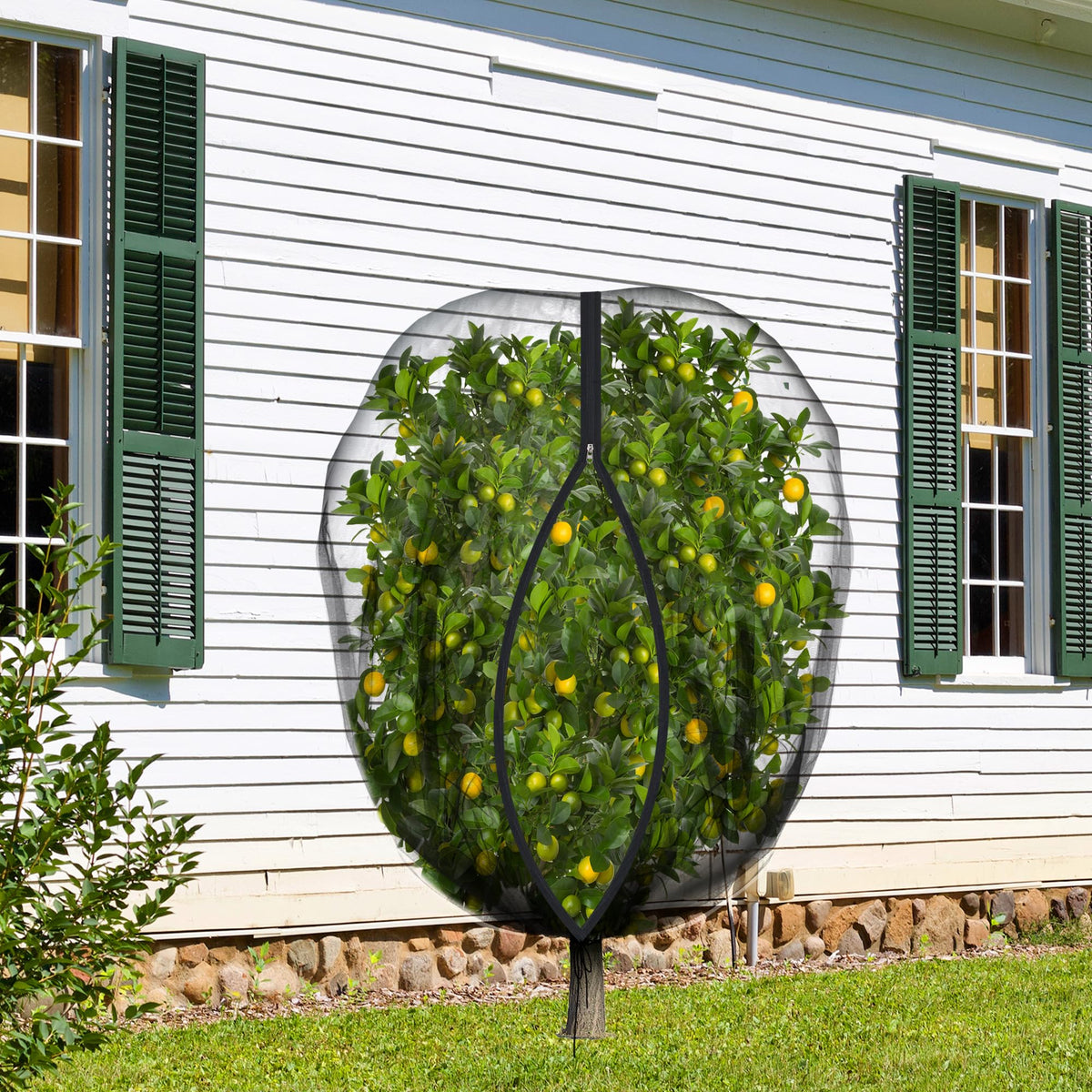 Purple Star 1N two-pack provides flexible protection for multiple plants.