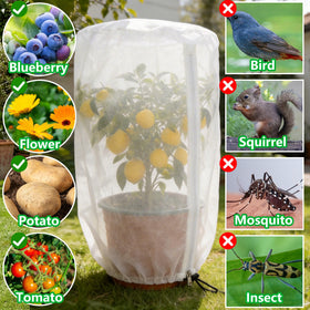 PURPLE STAR 1N two-pack sunshade covers provide versatile plant coverage.