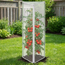 Purple Star 1N supports vertical climbing plants like tomato and cucumber.