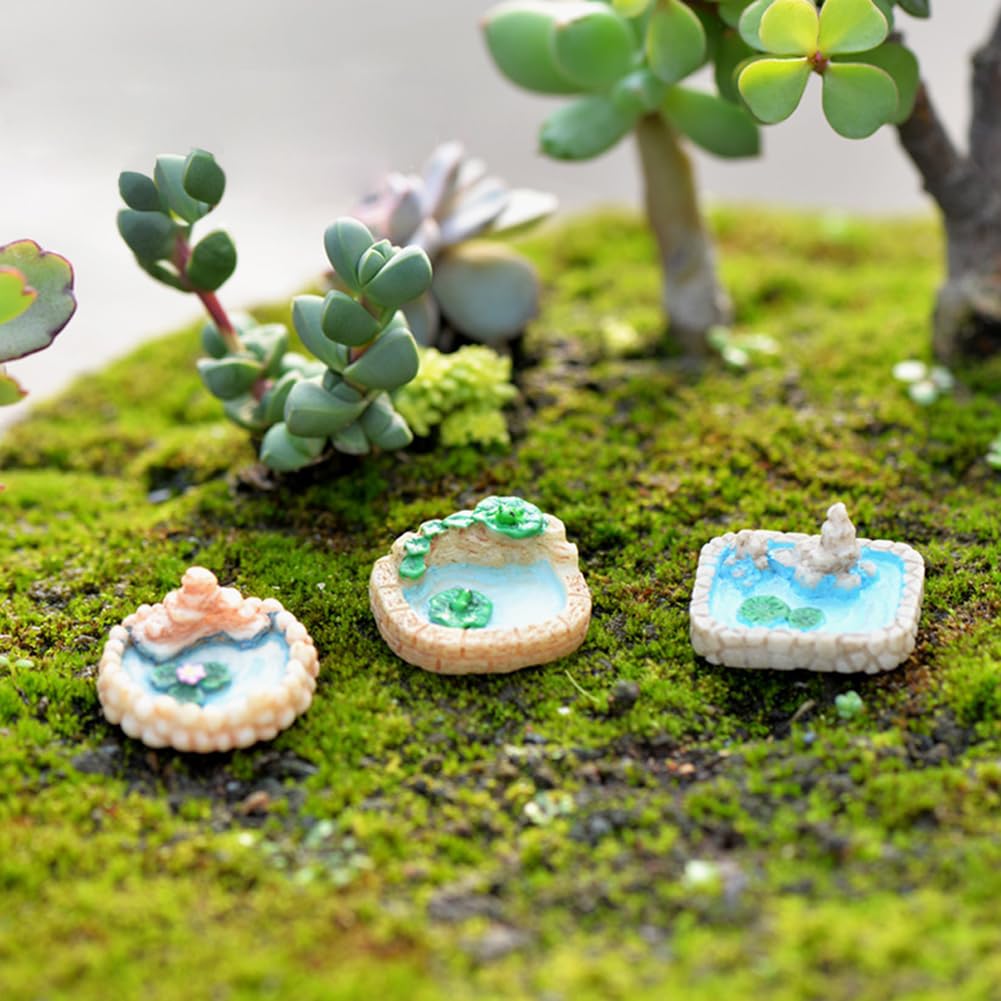 Brightly colored Purple Star ponds enliven plant pots, sand trays, and terrariums.