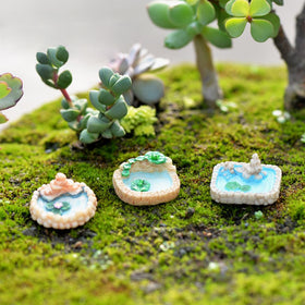 Brightly colored Purple Star ponds enliven plant pots, sand trays, and terrariums.