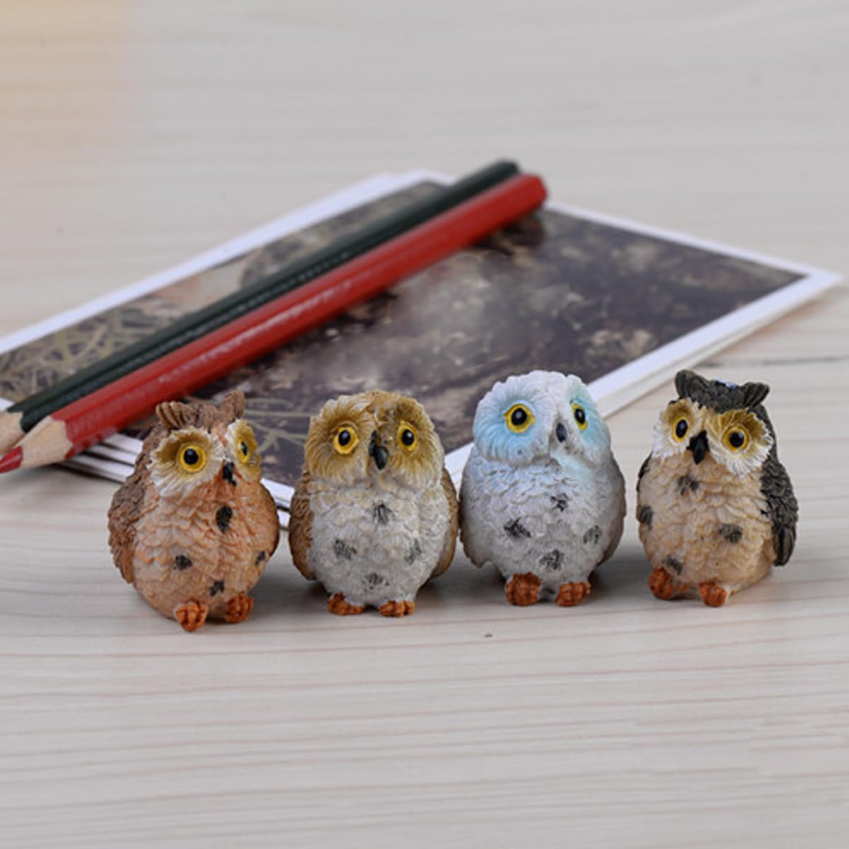 Purple Star terrarium owl decor adds nature-inspired charm.