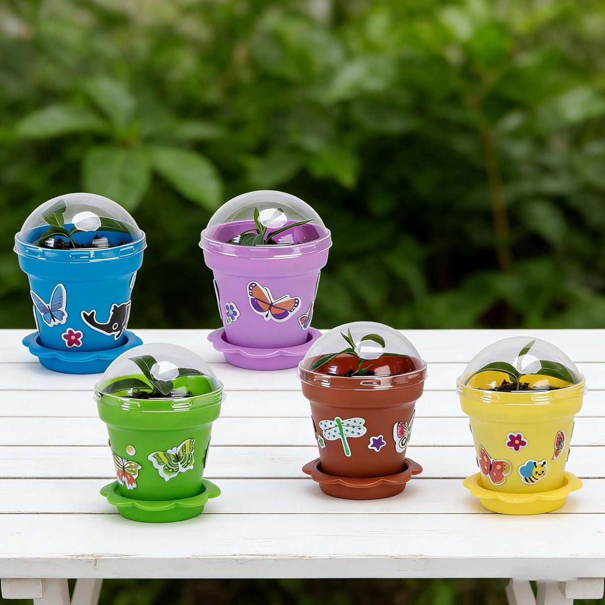 Purplestar mixed-color packaging showcases vibrant starter pots for seeds.