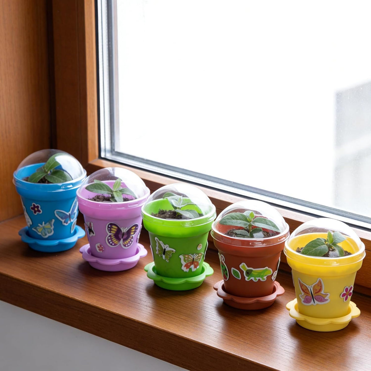 Purplestar patterned pots with butterfly and bee designs add garden charm.