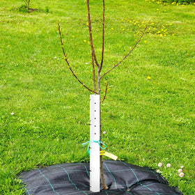 Pushglossy outdoor plant shelter installation shown around a young plant outdoors.