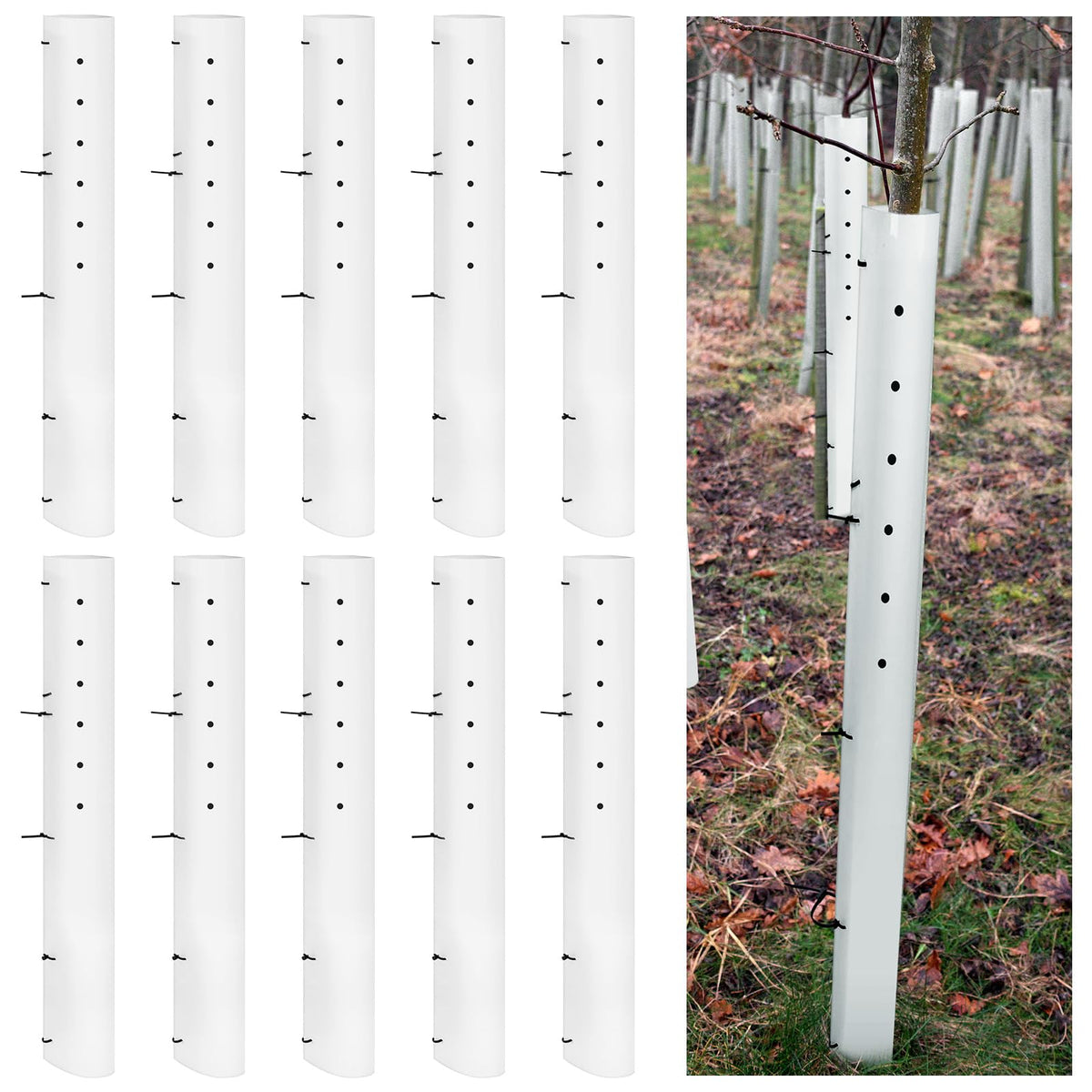 Pushglossy tree grow tube 36in white protects saplings for stronger early growth.